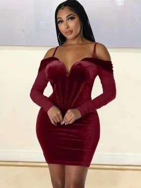 Off Shoulder Mesh Long Sleeve Mini Dress